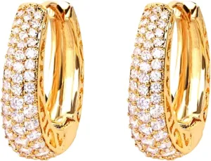 QueenBee 14K Gold Zirconia Hoop Earrings  Lightweight & Hypoallergenic Jewelry for Women, Non-Tarnish, Sparkling Gold Hoops, Jewelry Gift for Mothers Day, Birthdays & Weddings and Anniversaries