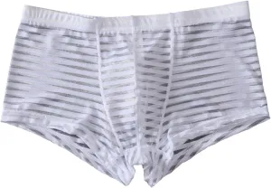 Sexy Stripe Sheer Mesh Lace Boxer Briefs for Men Mid-Waist Underwear Seamless Breathable Boyshort Bulge Pouch Panties White