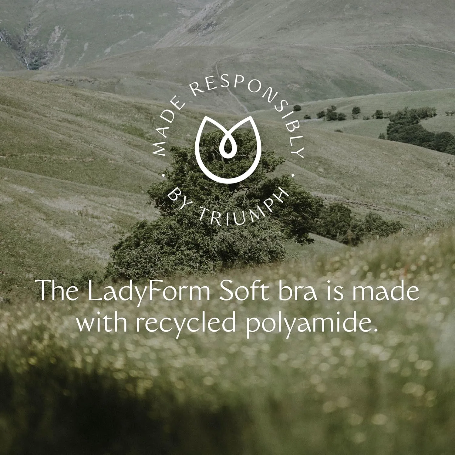 Triumph Ladyform Soft W Minimizing Bra for Women - Soft Full-Coverage Underwire Bra with All-Day Comfort - Sizes C-DDD